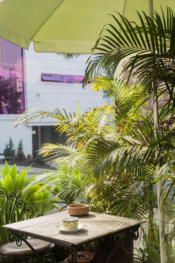 Hostel Spring City Medellin Exterior photo